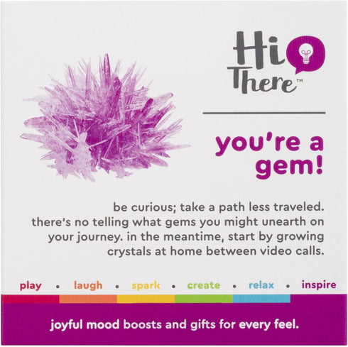 Toysmith You're A GEM - Hi There! Delightfully Witty Gift, Crystal Growing Kit, Desk Toy, Science Kits, Gifts for Friends, for All People Ages 10+...