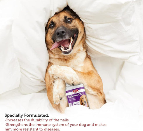 Bio Pet Active BiodermDOG 0.5 Zinc and Biotin Tablets for Dogs, Immune System, Skin, Coat and Nail Support for Dogs, 1.32 oz, 75 Chewable Tablets...