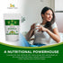 Organic Veda Moringa Tea Bags, Premium Dried Moringa Leaf Tea for Overall Wellness, Non-GMO, Caffeine-Free, & Gluten-Free Organic Tea, 120 Tea Bag...