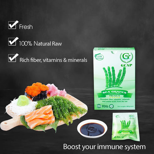 GCAP Sea Grapes – PREMIUM – 4.23 OZ of 6 packs, Dehydrated seaweed, Umibudo, Green Caviar, Lato seaweed - A great superfood for your health, boost...