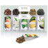Tea Forte Green Tea Assortment Single Steeps Loose Leaf Premium Tea Gift Set Sampler, 15 Count 3 of Each Assorted Blends, Pre-Portioned Single Ser...