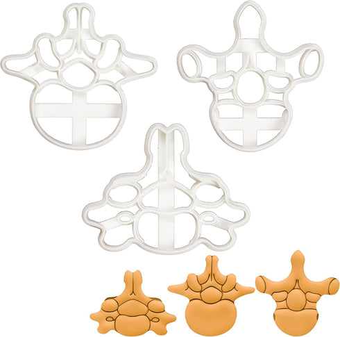 Set of 3 Vertebrae cookie cutters (Designs: Cervical, Lumbar, Thoracic Vertebra), 3 pieces - Bakerlogy...