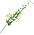 FiveSeasonStuff Versatile Decor Delight: Lush 28ft 10-Vine Set of Elegant Artificial Silk Clematis Leaves for Any Occasion or Event...