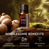 Gya Labs Allspice Essential Oil for Diffuser & Skin - 0.34 Fl Oz - 100% Pure Natural Allspice Oil for Skin, Homemade Items & Candle Making Scent...