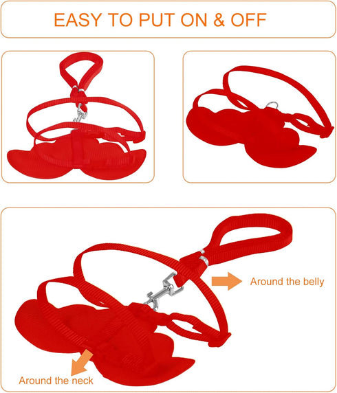 Duck Walking Harness and Leash Chicken Duck Outdoor Training Rope Adjustable Rope for Pet Poultry Hen Cock (XS, Red)...