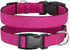 Glittering Basic Dog Collar, Comfy & Durable Dog Collar for Small Medium Large Dogs with Eco-Friendly Plastic Buckle, Adjustable Stylish Nylon Dog...