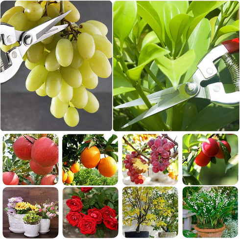 Pruning Shears with Stainless SK5 Steel Blades+Straight Tip Gardening Shears Garden Shears Garden Clippers Florist Scissors Hand Pruners Garden To...