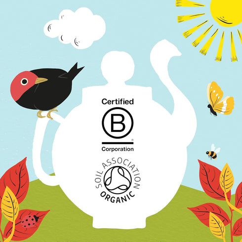 Clipper Tea Organic Fairtrade English Breakfast, Big Ben - USDA Organic, Non-GMO, Fair Trade, Sustainable Caffeinated Tea, 1 Pack, 20 Unbleached T...