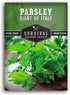 Survival Garden Seeds - Giant of Italy Parsley Seed for Planting - Packet with Instructions to Plant and Grow Italian Flat Leaf Parsley Herbs in Y...