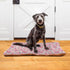 Pink Floral Pet Bed Pad Soft Dog Bed Mat with Anti-Slip Bottom, Machine Washable Crate Pad Mattress for Dog Sleeping...