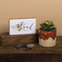Primitives by Kathy 133243 Wood Box Sign, 6" Length x 3.50" Height x 1" Width, Bee Kind...