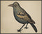 Posterizer 1 pcs- Blue and Yellow bird with a brown background-Art for Animal Lovers- Gift for Nature, Surfers and Beach Lovers-decor for Bedroom,...