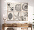 WYHLMTQ 6Pcs Boho Beach Coastal Posters Canvas Wall Art Modern Abstract Painting Shell Pictures Prints Wall Decor Beach Gallery Artwork for Beach ...