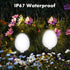 Solar Pathway Lights Outdoor, Landscape Path Lights Solar Powered Waterproof IP67 Dusk to Dawn Solar Globe Lights for Outside Garden Walkway Lawn ...