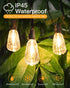 GLUROO LED String Light Bulbs, ST38 Shatterproof LED Replacement Bulbs for Outdoor String Lights Eidison Bulb fits E12 C7 Screw Base, 1Watt Equvan...