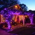 String Lights Fairy Lights 66 Feet 200 LED with Multi Flashing Modes Controller, Waterproof LED Lights Decorations for Bedroom, Wedding, Party, Ga...