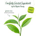 Bigelow Tea Classic Green Tea, Caffeinated Tea, 20 Total Tea Bags (Pack of 1)...