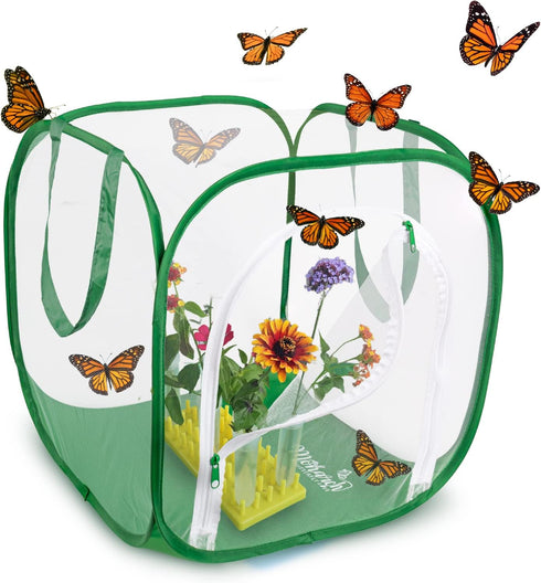 Baby Cube Clear Mesh Butterfly Cage with Drawbridge Open Door | 14”L x 14”W x 16”H | Raise Up to 10 Monarchs with POP-Up Professional Habitat by M...