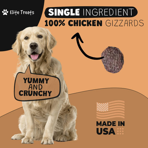 Chicken Gizzard Chips: Dogs All Natural Training Treats | Made in USA | Single Ingredient | Healthy Treats | for Puppies, Small, Medium & Large Br...