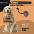 Chicken Gizzard Chips: Dogs All Natural Training Treats | Made in USA | Single Ingredient | Healthy Treats | for Puppies, Small, Medium & Large Br...
