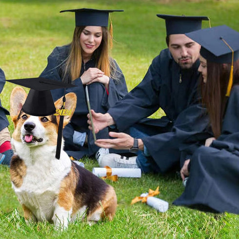 Pet Graduation Caps Dog Graduation Hat with 2024 Black Tassel Puppy Grad Hat Graduation Costume for Dogs Cats Holiday Dog Outfits Accessory Party ...