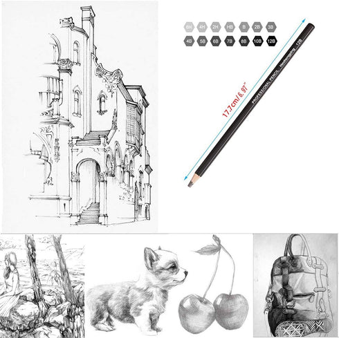 Heshengping Drawing Sketch Pencil Set 14pcs Sketching Pencils 12B 10B 8B 7B 6B 5B 4B 3B 2B B HB 2H 4H 6H Graphite Pencils for Kid Adults Artists S...