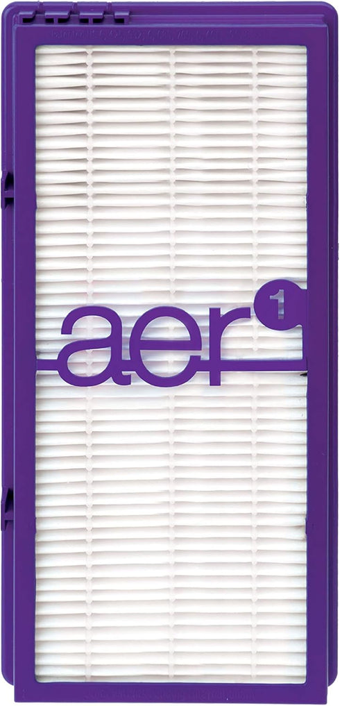 Holmes AER1 True HEPA Performance Plus Filter, HAPF300AP-U4...