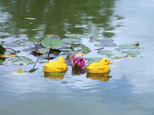 Floating Resin Duck Figurine Pond Décor Garden Lawn Patio Outdoor Statue Yellow (Set of 2)...