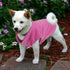 FUAMEY Dog Fleece Vest,Warm Sweatshirt Puppy Stretchy Sweater Pullover Dog Turtleneck Coat Dog Winter Jacket with Leash Hole, Dachshund Sweaters Y...