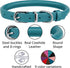 BRONZEDOG Rolled Leather Dog Collar for Small Medium Large Dogs with QR ID Tag (M: 14-16 Inch, Teal)...