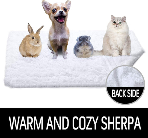 LOCHAS Luxury Fluffy Dog Blanket, Extra Soft and Warm Sherpa Fleece Pet Blankets for Dogs Cats, Plush Furry Faux Fur Puppy Throw Cover, 20''x30'' ...