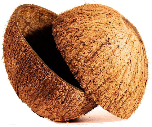 Natural Coconut Bowl Halves Coconut Shell for handicraft or pet feeder and candle maker and Christmas and Halloween decorations (2, with fiber)...