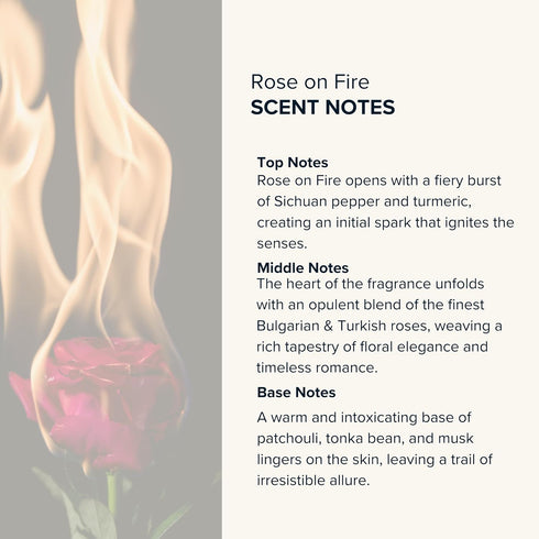 ANTHOLOGY Rose on Fire Roll on Perfume oil for Women 0.3oz 9 ML | Turkish Rose, Spicy Pepper, Musk | Alcohol Free Rollerball, Travel size Clean Fr...