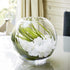 WGV Bowl Glass Vase, Diameter 6", Height 5", Open Width 4", (Multiple Sizes Choices) Clear Bubble Planter Terrarium Fish Bowl for Wedding Event Ho...