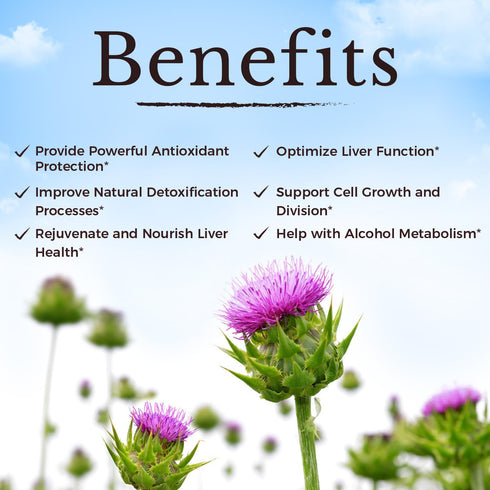 VITALITOWN Milk Thistle Complex | 30X Extract & Std. 80% Silymarin | Choline + Dandelion Root + Zinc | Superior Liver & Antioxidant Support | Vega...