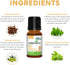 Wellements Organic Baby Tooth Oil | Soothing Massage Oil for Tiny Gums, Helps Make Teething Happy, Made with Safe and Effective Certified Organic ...