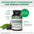 NutraMedix Elderberry Antioxidants Supplement Capsules 500mg - Elderberry Extract to Promote a Healthy Inflammatory Response, Daily Immune Support...
