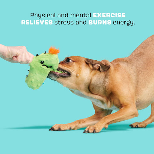 Barkbox BARK Prickly Pete Rip & Reveal Chew Toy for Dogs and Puppies - Small...