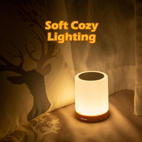 Night Light, LED Touch Bedside Table Lamp, Muti-Colour, USB Rechargeable, Remote Control, Portable Lamp for Baby Bedroom, Living Room...