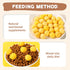 Freeze Dried Cat and Dog Treats, Limited Ingredient Quail Egg Yolk Healthy Tasty Snacks for Training (4.6 Ounce)...