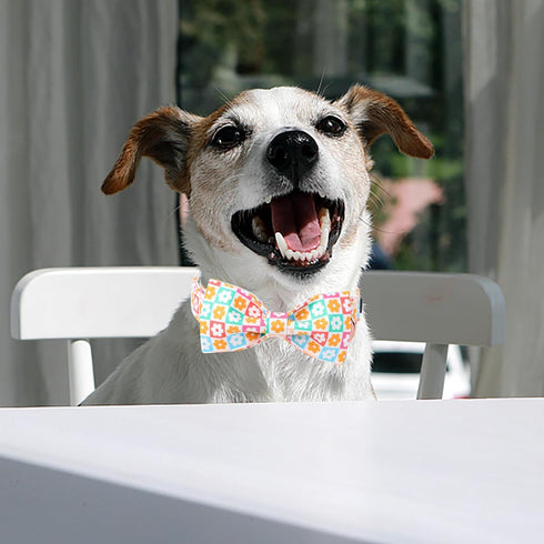 Dog Collar for Spring and Summer, Cotton Dog Collar with Bow with Safety Metal Buckle, Adjustable Puppy Collar for Small, Medium and Large Dogs L...