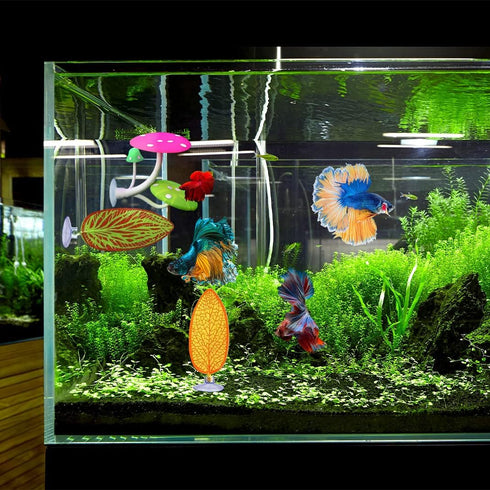 5 pcs Betta Mushroom Hammock + Leaf Pads Fish Tank Silicone Soft Aquarium Fish Playing Pads with Suction Cup Aquarium Ornament Fish Tank Decoratio...
