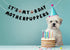 It's My Bday Motherpuppers, Funny Dog Birthday Banner, Paw Party Bunting Sign, Puppy Dog Pennant Decor...