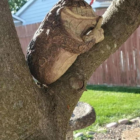 Keeping Quiet Frog Tree Peeker Garden Tree Sculptures Outdoor Tree Face Garden Tree Hugger Statues Indoor Outdoor Yard Decoration (gery)...
