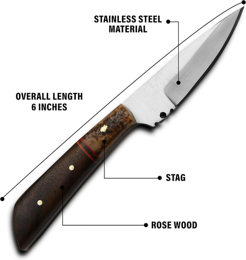 METAL OF HONOR Paring Knife 3inch Small kitchen Knife with Sheath Fruit and Vegitable Knife for Peeling (Stag)...