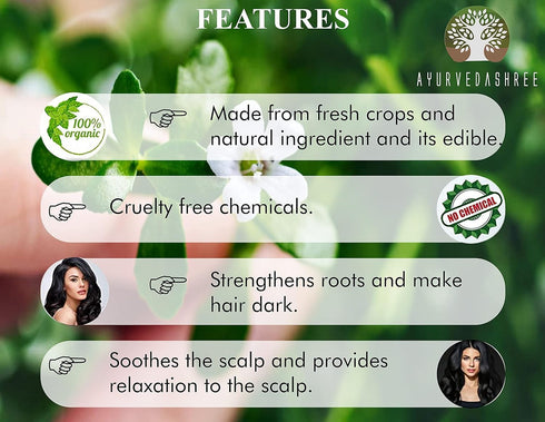 Centella asiatica Powder 50 Gm I Known as Gotu Kola, brahmi I Mandupakarni Powder I Non GMO I Gluten Free I Vegan...