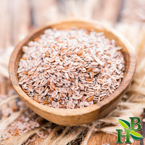 Psyllium Husk Whole | Plantago Ovata | Organic | 4oz...