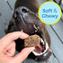 Fish, Pumpkin, Apple Grain-Free Dog Treats (5oz, 1-Pack) | USA Wild-Caught Human Grade Fish | Hypoallergenic, Chicken-Free | Best Training Treats ...