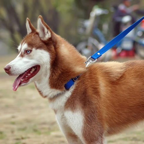 Swivel Snap Hook Heavy Duty Dog Leash Clips Dog Leash Clasp Leash Hooks Swivel Clip 4 Pcs...