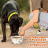 Mifoci 30 Pcs Disposable Pet Bowls Bulk 12 oz 1.5 Cup Small Dog Feeding Bowls Cat Paper Dishes Small Serving Water Food Tray for Dog Puppy Kitten ...